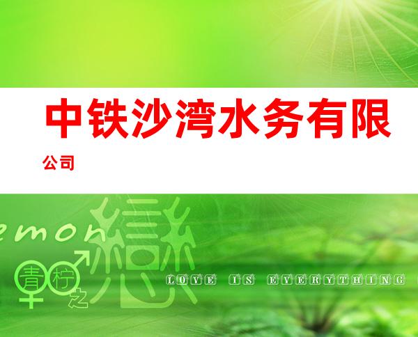 中铁沙湾水务有限公司